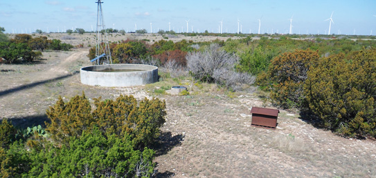 ALDO Ranch - Texas Big Game Hunting Trips