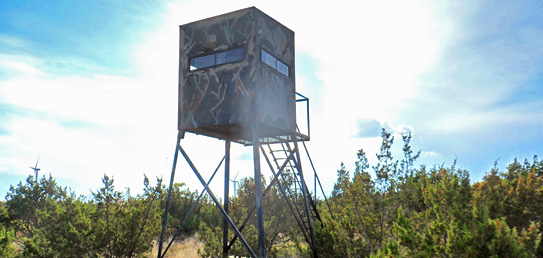 ALDO Ranch - Texas Big Game Hunting Trips