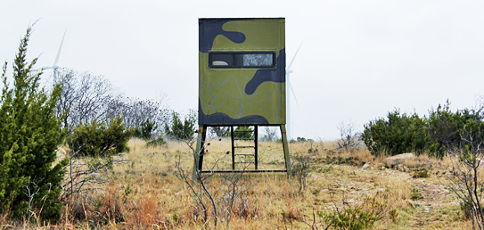 ALDO Ranch - Texas Big Game Hunting Trips